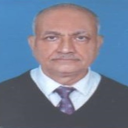 Dr. Pratap Balakrishna